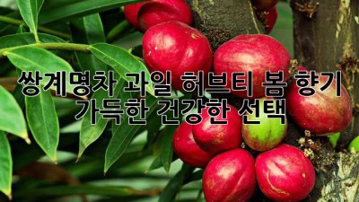 쌍계명차 과일 허브티: 봄 향기 가득한 건강한 선택