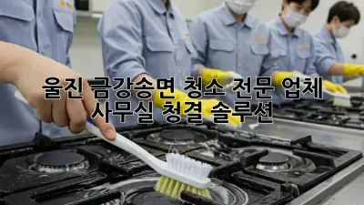 울진 금강송면 청소 전문 업체 ✨ 사무실 청결 솔루션