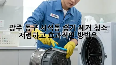 광주 동구 서석동 습기 제거 청소 : 저렴하고 효과적인 방법은?