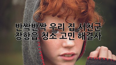 ✨ 반짝반짝 우리 집! 서천군 장항읍 청소 고민 해결사 🏡