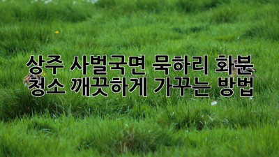 상주 사벌국면 묵하리 화분 청소, 깨끗하게 가꾸는 방법